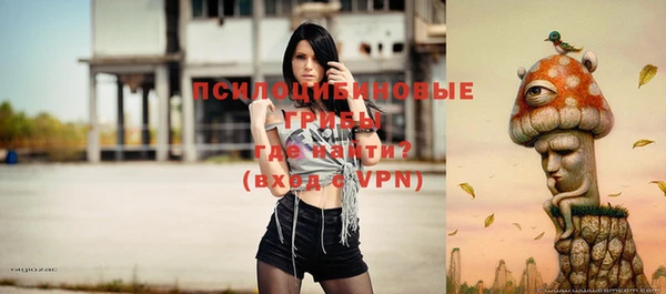 спиды Крымск