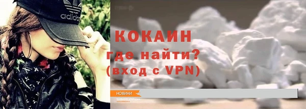 прущие грибы Нея