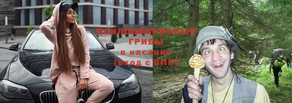 ECSTASY Горняк