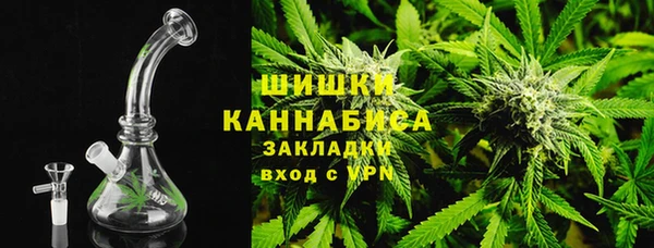 прущие грибы Нея