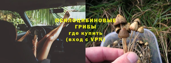 сатива Нефтекумск